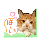 ぶんたんism（個別スタンプ：4）