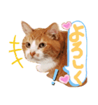 ぶんたんism（個別スタンプ：5）