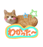 ぶんたんism（個別スタンプ：8）