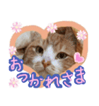ぶんたんism（個別スタンプ：11）
