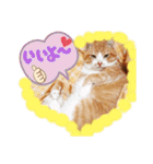 ぶんたんism（個別スタンプ：16）
