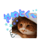 ぶんたんism（個別スタンプ：18）