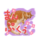 ぶんたんism（個別スタンプ：20）