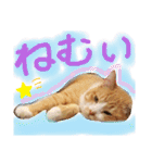 ぶんたんism（個別スタンプ：21）