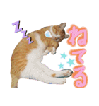 ぶんたんism（個別スタンプ：22）