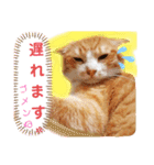 ぶんたんism（個別スタンプ：24）