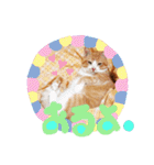 ぶんたんism（個別スタンプ：27）