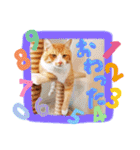 ぶんたんism（個別スタンプ：29）