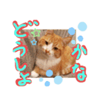 ぶんたんism（個別スタンプ：31）