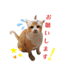 ぶんたんism（個別スタンプ：32）
