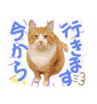 ぶんたんism（個別スタンプ：33）