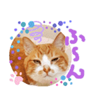 ぶんたんism（個別スタンプ：34）