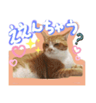 ぶんたんism（個別スタンプ：37）