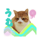 ぶんたんism（個別スタンプ：39）