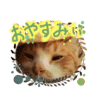 ぶんたんism（個別スタンプ：40）