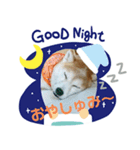 おてんば豆柴むぎみっこ（個別スタンプ：7）