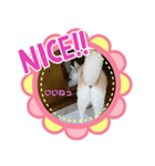 こもむぎズッコケ劇場（個別スタンプ：2）