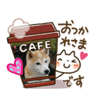 こもむぎズッコケ劇場（個別スタンプ：7）