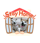 こもむぎズッコケ劇場（個別スタンプ：8）