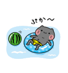 しらたまとタマクロー スタンプ④（個別スタンプ：36）