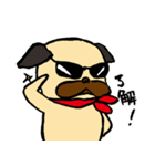 パグオの鼻息（個別スタンプ：3）