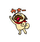 パグオの鼻息（個別スタンプ：10）