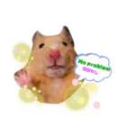 ハムハムハムなハムちゃん①（個別スタンプ：2）