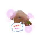 ハムハムハムなハムちゃん①（個別スタンプ：7）