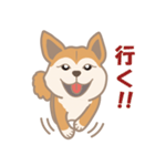 柴犬のコウチャ（個別スタンプ：7）