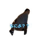 前川WORLD（個別スタンプ：2）