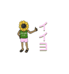 ひまわり男の毎日（個別スタンプ：2）