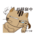 新選組猫 4（個別スタンプ：11）