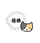 猫ちゃんの肯定＆優勝スタンプ（個別スタンプ：5）