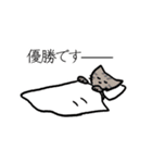 猫ちゃんの肯定＆優勝スタンプ（個別スタンプ：8）