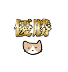 猫ちゃんの肯定＆優勝スタンプ（個別スタンプ：17）