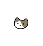 猫ちゃんの肯定＆優勝スタンプ（個別スタンプ：38）