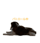 かんべるびー その1（個別スタンプ：9）