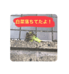 落ちてまスタンプ ver.001（個別スタンプ：1）