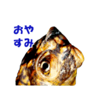 爬虫類のお顔（個別スタンプ：15）