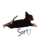 チワワ*Hurley2（個別スタンプ：7）
