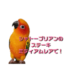 コガネメキシコインコ メラニーちゃん（個別スタンプ：14）