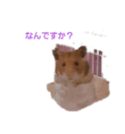 sarami＆be-kon（個別スタンプ：3）