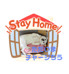 柴犬こもみー（個別スタンプ：4）
