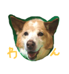 まめちんとことちん（個別スタンプ：2）
