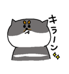 黒柴おもち（個別スタンプ：20）
