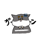 黒柴おもち（個別スタンプ：24）