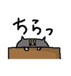 黒柴おもち（個別スタンプ：27）