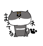 黒柴おもち（個別スタンプ：31）