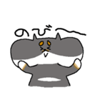 黒柴おもち（個別スタンプ：34）
