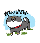 黒柴おもち（個別スタンプ：36）